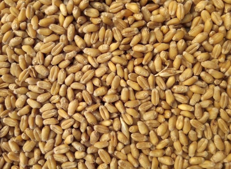 Agricultural cotton crop trading