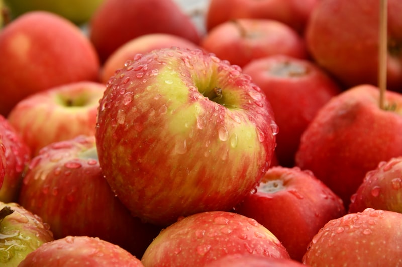 Box packaging of wholesale graded apples