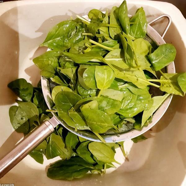 Fresh Spinach